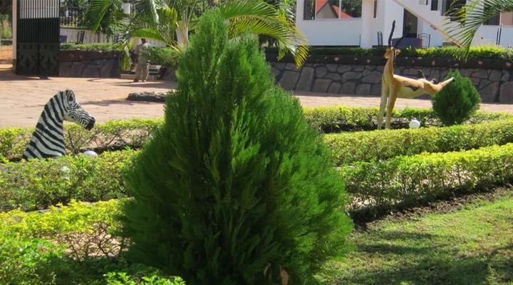 Mahale Classic Lodge