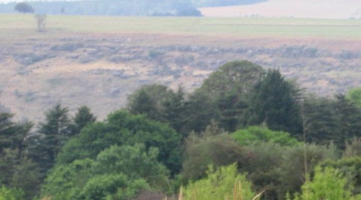 Misamba Bed and Breakfast