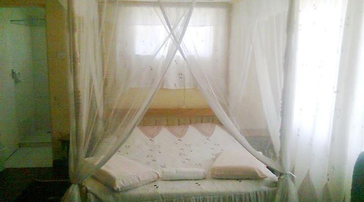 Dreams Cottage Guest House