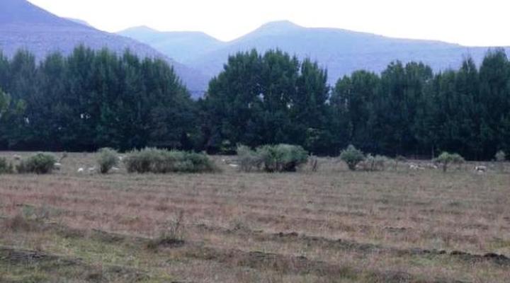 Zonnenstrahl Camping Ground