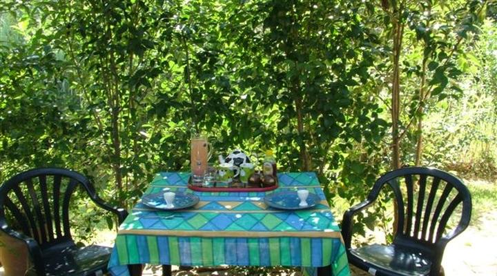 The Farm House Hartebeestfontein 