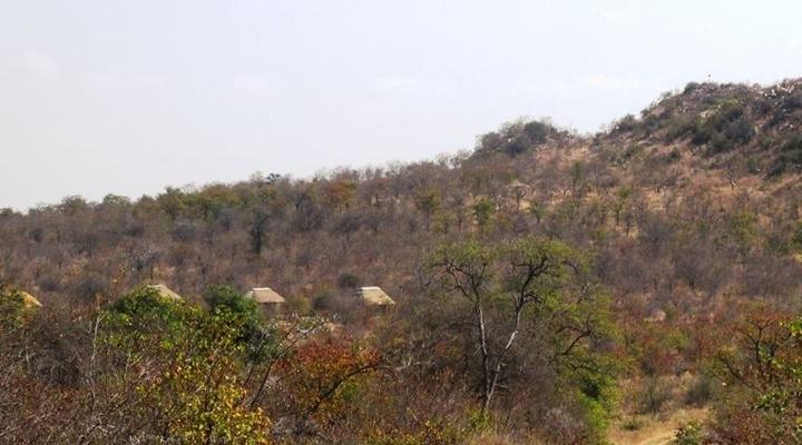 Letaba Safari Lodge