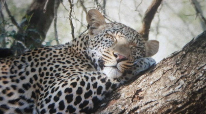 Indaba Kruger Safari Villa