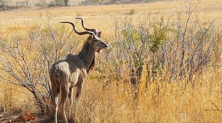 Indaba Kruger Safari Villa