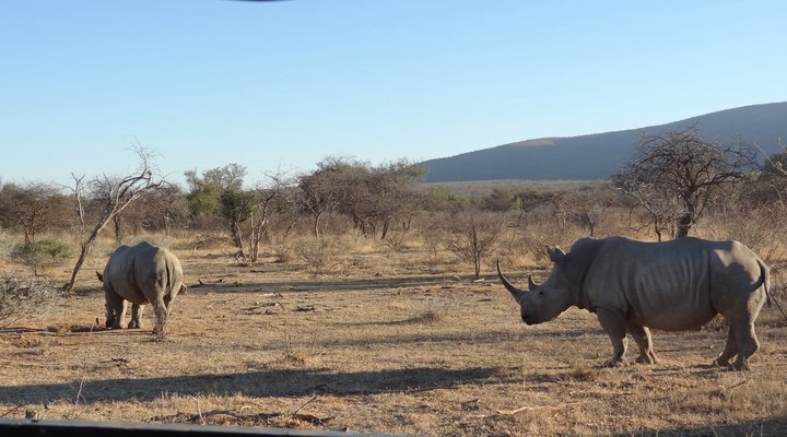 Indaba Kruger Safari Villa