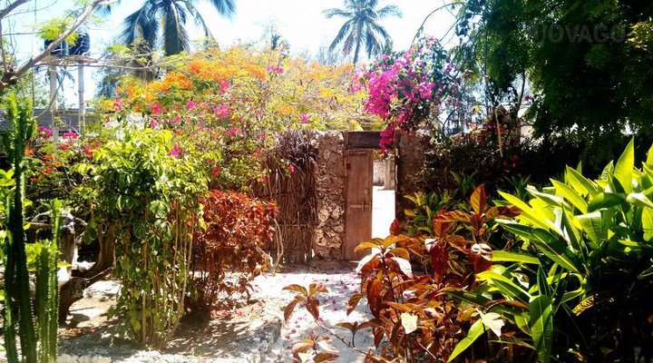 Villa Uroa Africano