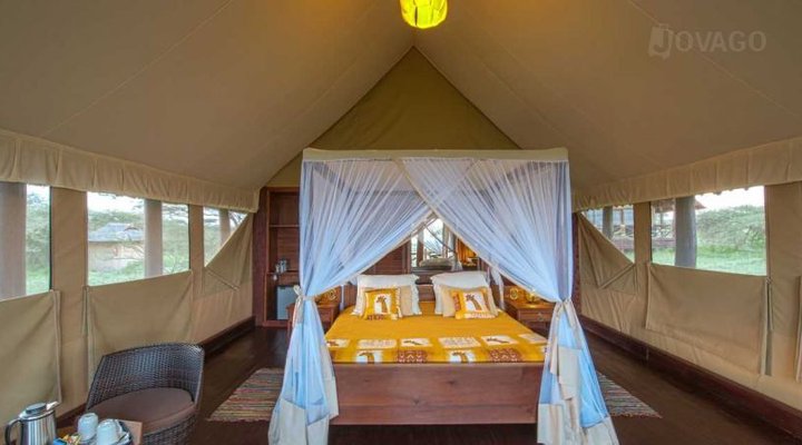 Lake Ndutu Luxury Tented Lodge