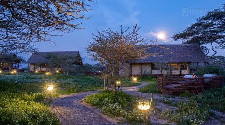 Lake Ndutu Luxury Tented Lodge