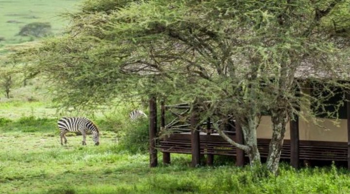 Lake Ndutu Luxury Tented Lodge