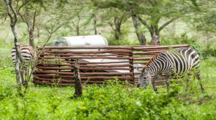 Lake Ndutu Luxury Tented Lodge