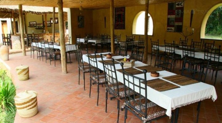 Primate Lodge