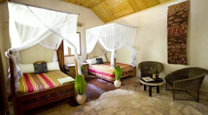 Primate Lodge