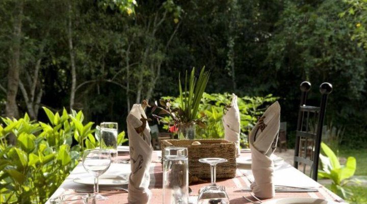 Primate Lodge