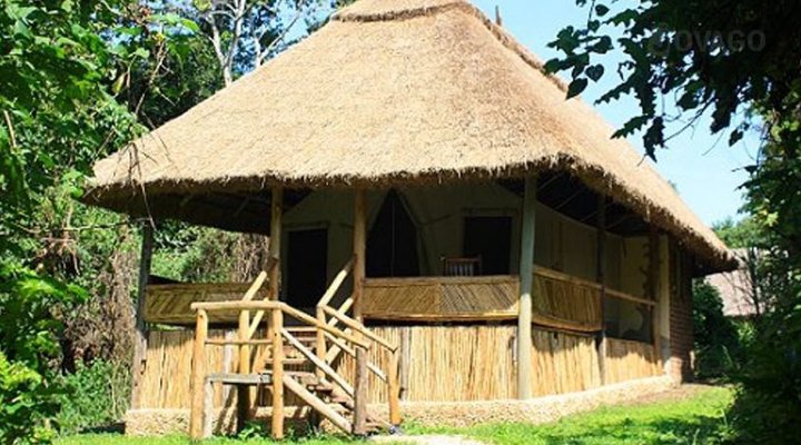 Primate Lodge