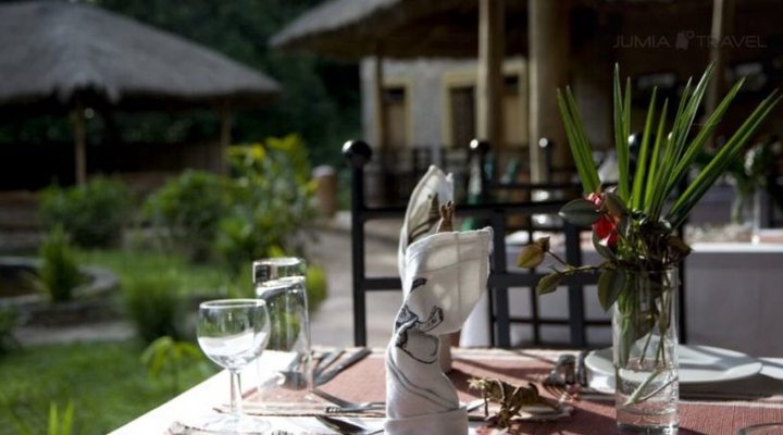 Primate Lodge