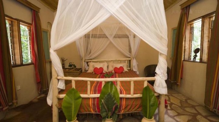 Primate Lodge
