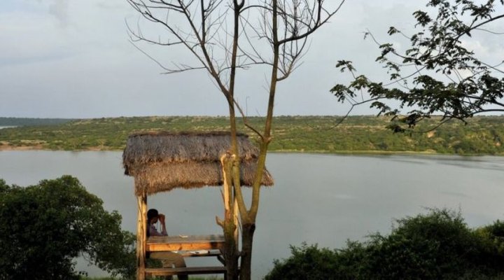 Primate Lodge