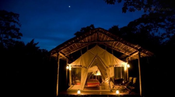 Primate Lodge