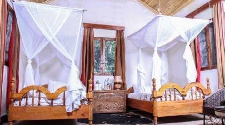 Primate Lodge