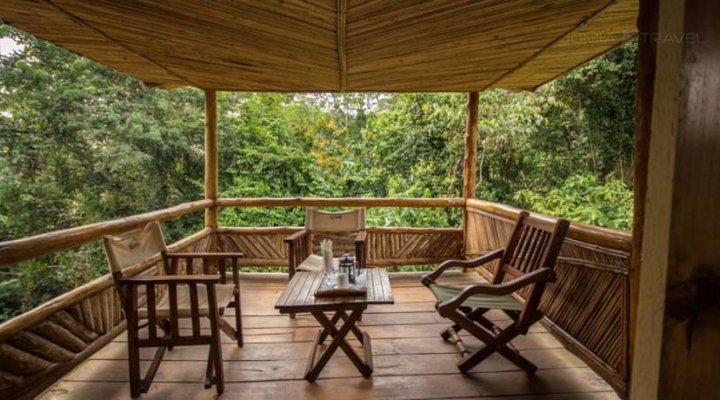 Primate Lodge