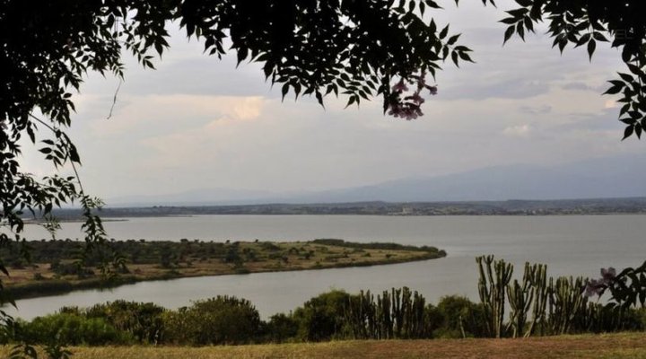 Primate Lodge