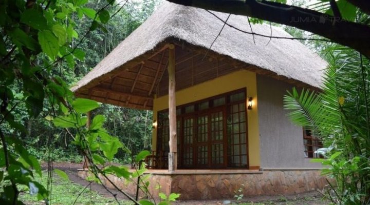 Primate Lodge