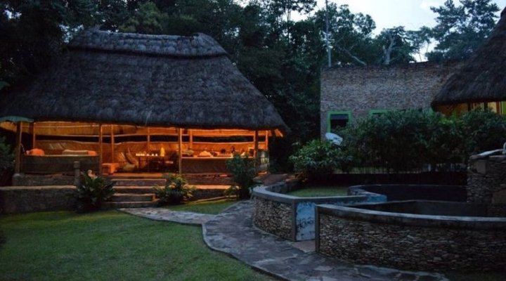 Primate Lodge