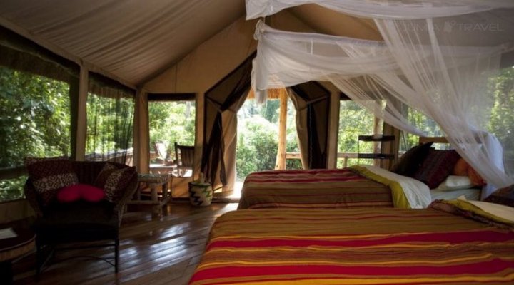 Primate Lodge