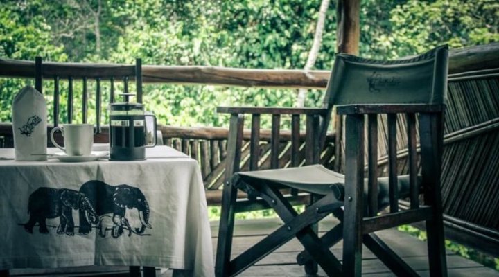 Primate Lodge