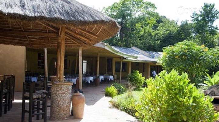 Primate Lodge