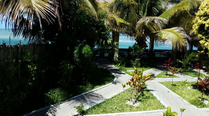 Dolphin Dhow Safaris and Accomodation