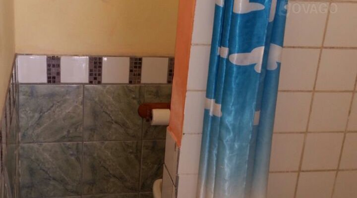 Dolphin Dhow Safaris and Accomodation