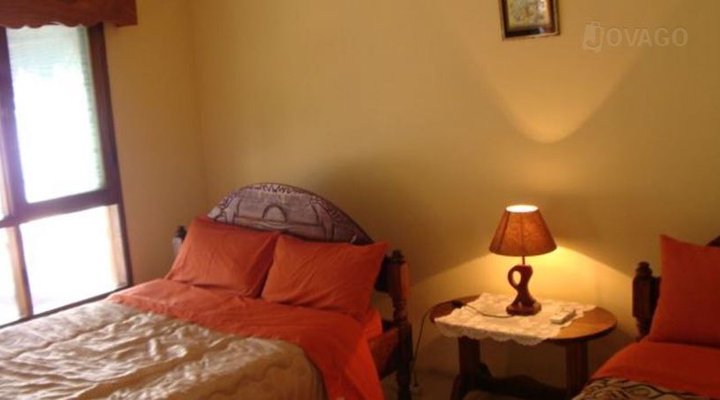 Dolphin Dhow Safaris and Accomodation