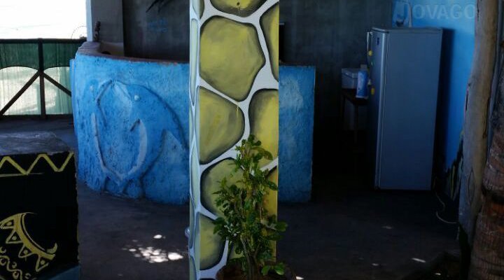 Dolphin Dhow Safaris and Accomodation