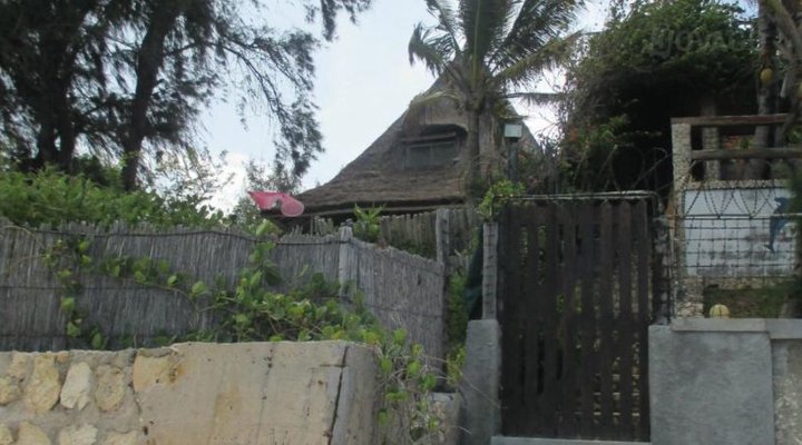 Dolphin Dhow Safaris and Accomodation