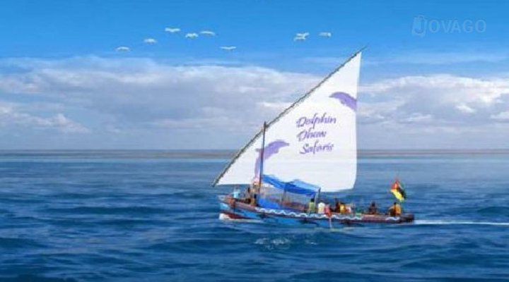 Dolphin Dhow Safaris and Accomodation