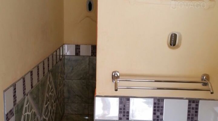 Dolphin Dhow Safaris and Accomodation