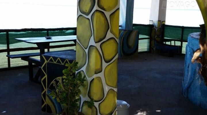 Dolphin Dhow Safaris and Accomodation