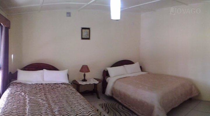 Dolphin Dhow Safaris and Accomodation