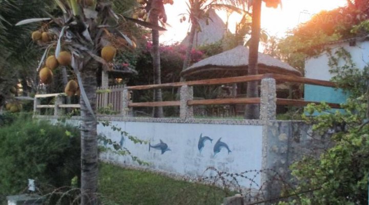 Dolphin Dhow Safaris and Accomodation