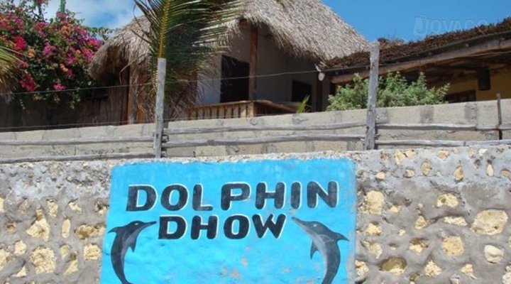Dolphin Dhow Safaris and Accomodation