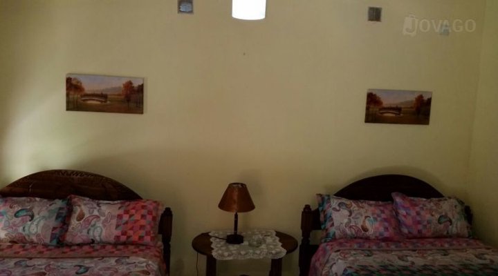 Dolphin Dhow Safaris and Accomodation