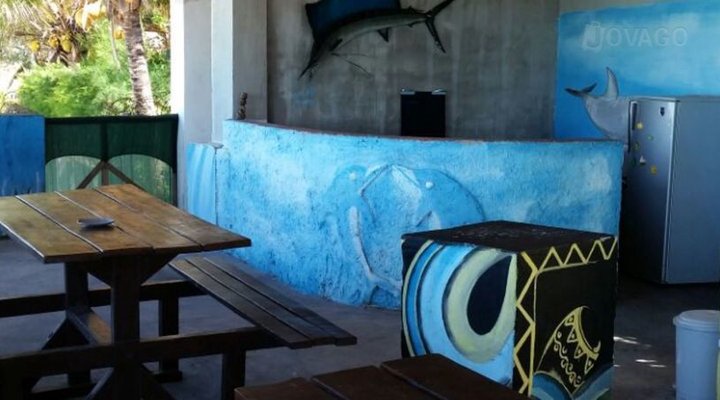 Dolphin Dhow Safaris and Accomodation