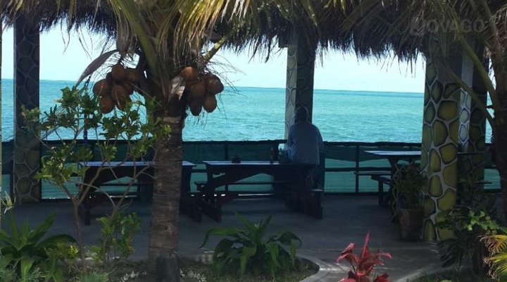 Dolphin Dhow Safaris and Accomodation