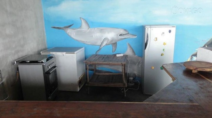 Dolphin Dhow Safaris and Accomodation