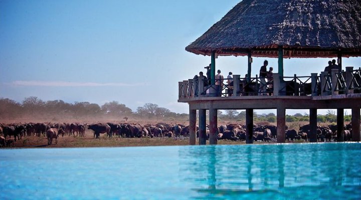 Voi Wildlife Lodge
