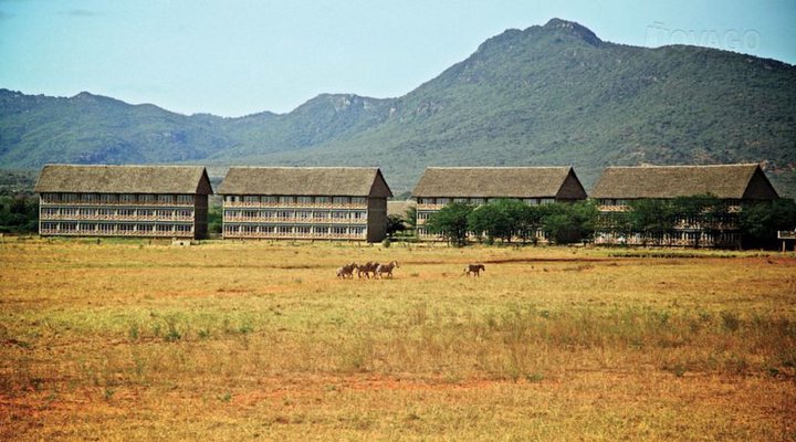 Voi Wildlife Lodge