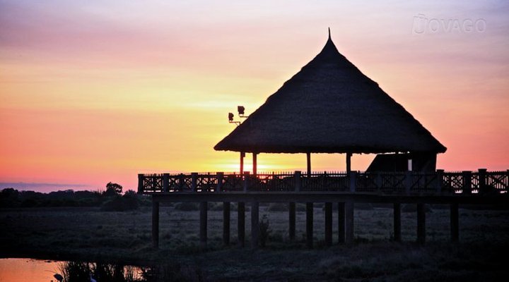Voi Wildlife Lodge