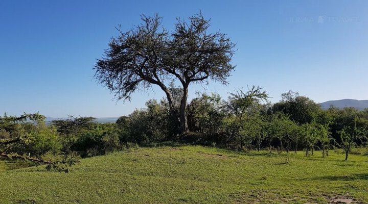 Olkeri Mara Camp