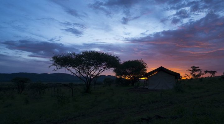 Kiota Camp